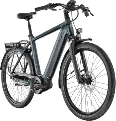 Rower elektryczny Winora Sinus N8