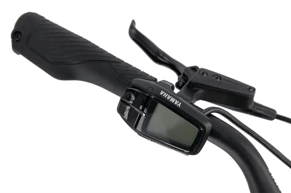 Rower elektryczny R-raymon TourRay E 5.0 Gent 9S M350