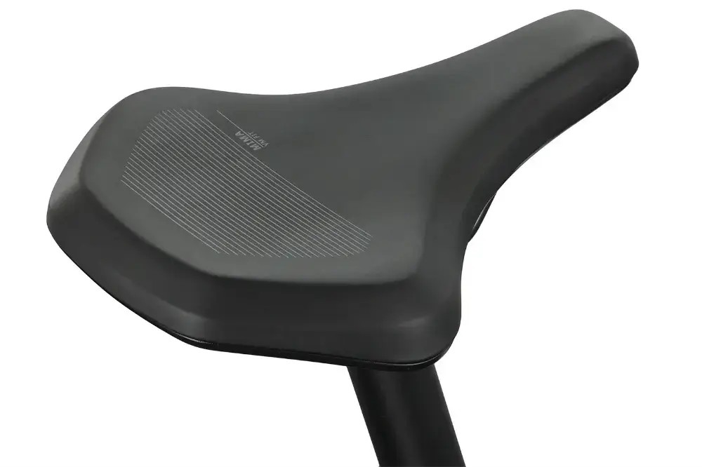 Rower elektryczny R-raymon Metmo Pro