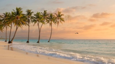 Product from the video in the gallery