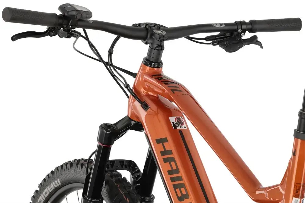 Rower elektryczny Haibike AllTrail 6 29