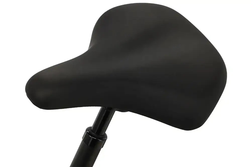 Rower elektryczny Batavus Finez E-go Power RT