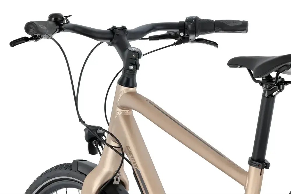 Rower trekkingowy Giant AnyTour CS