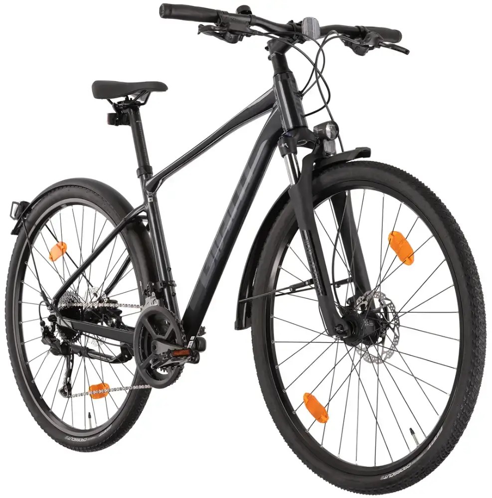 Rower crossowy Giant Roam EX