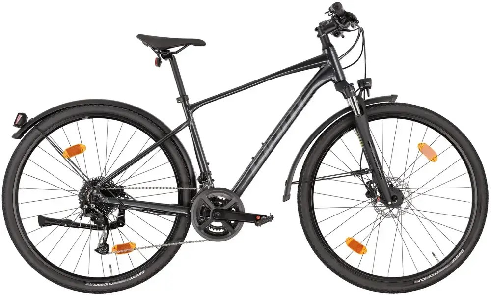 Rower crossowy Giant Roam EX