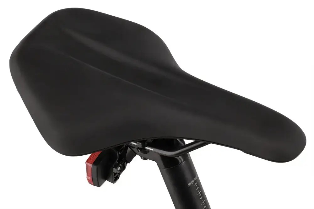 Rower crossowy Giant Roam EX