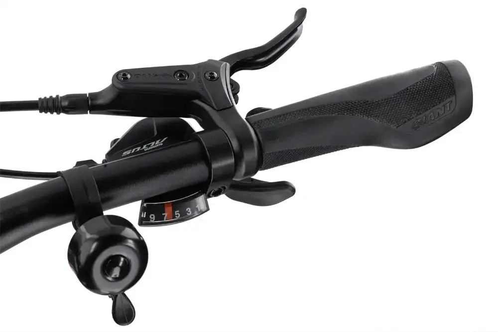 Rower crossowy Giant Roam EX