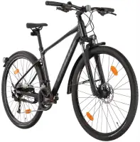 Rower crossowy Giant Roam EX