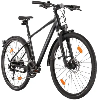 Rower crossowy Giant Roam EX