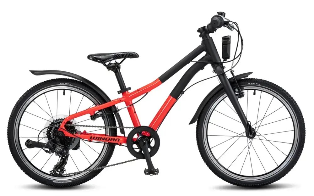 Rower dziecięcy Winora Rage 20
