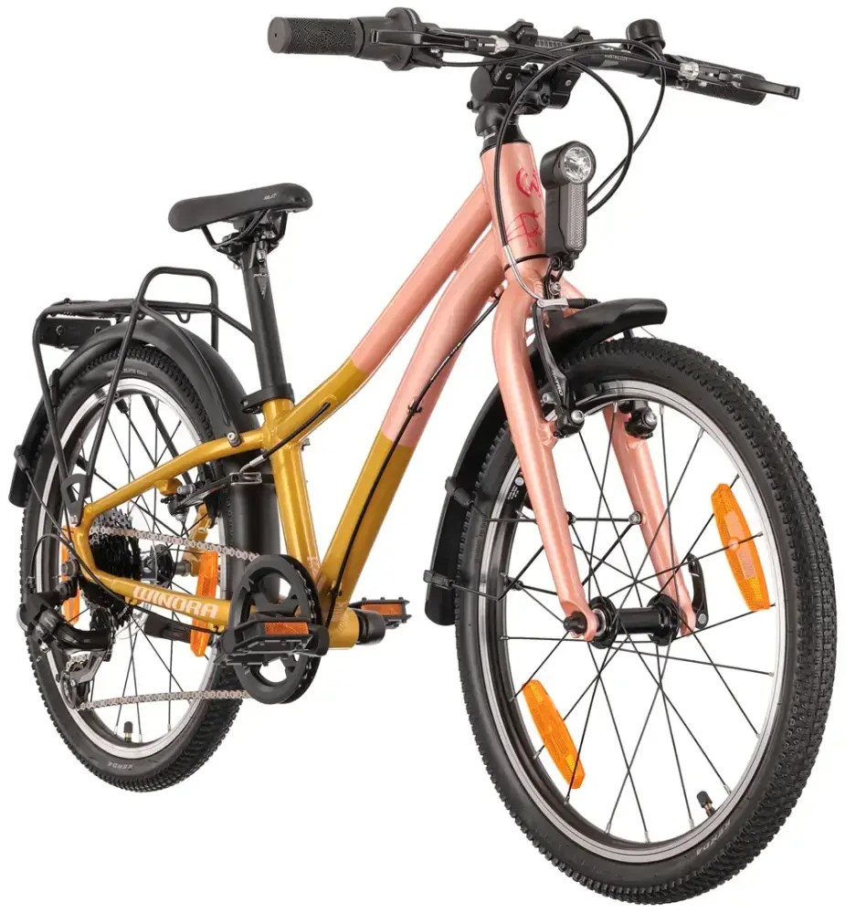 Rower dziecięcy Winora Chica 20