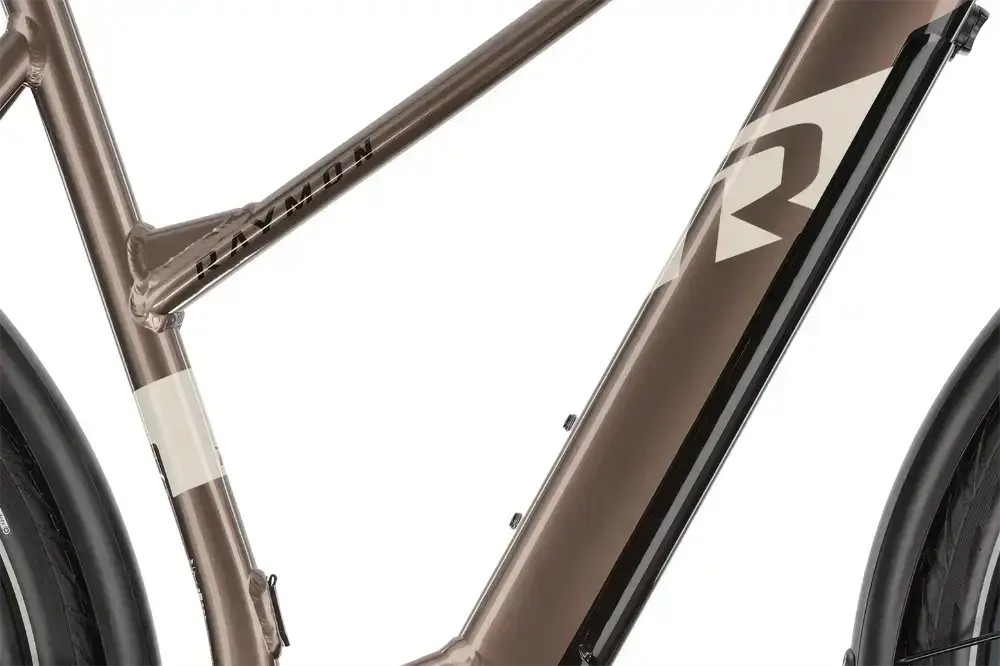 Rower elektryczny R-raymon TourRay E 5.0 9S M350