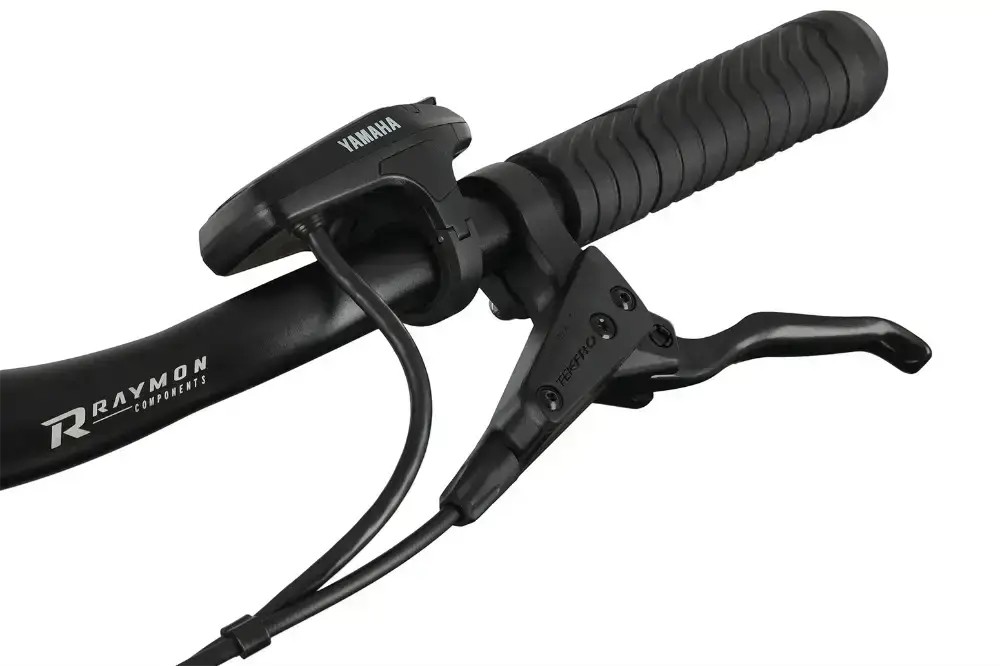 Rower elektryczny R-raymon TourRay E 5.0 9S M350