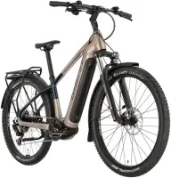 Rower elektryczny Ghost E-Teru B Universal EQ