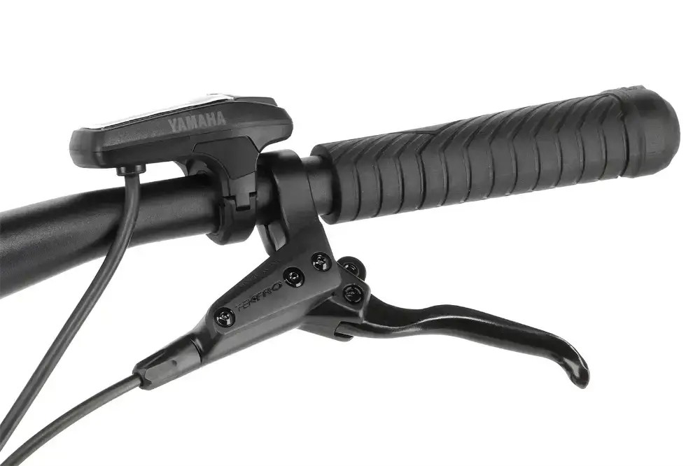 Rower elektryczny R-raymon Tourray