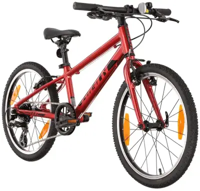 Rower dziecięcy Giant Arx 20