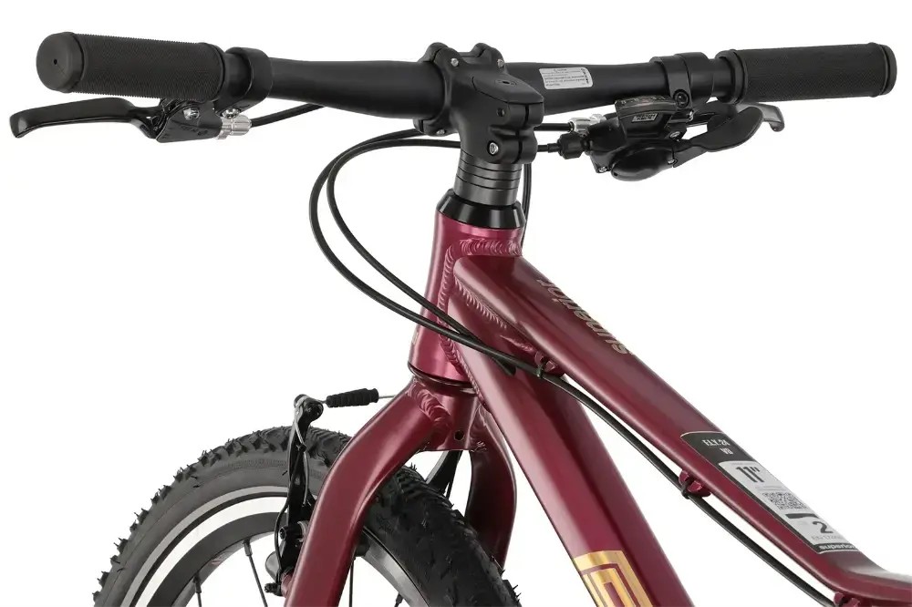 Rower dziecięcy Superior F.l.y. 24 VB