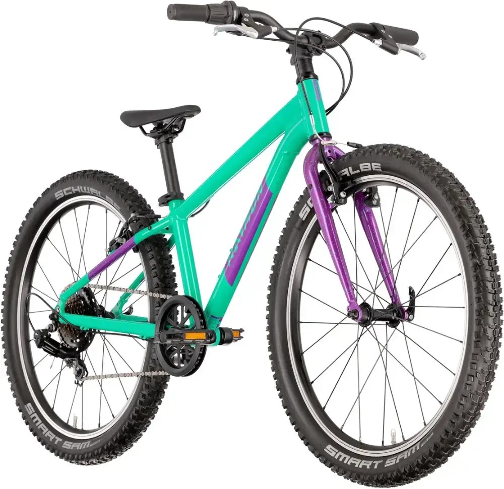 Rower dziecięcy R-raymon Yanga 24