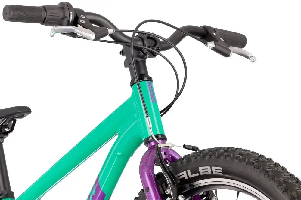 Rower dziecięcy R-raymon Yanga 24