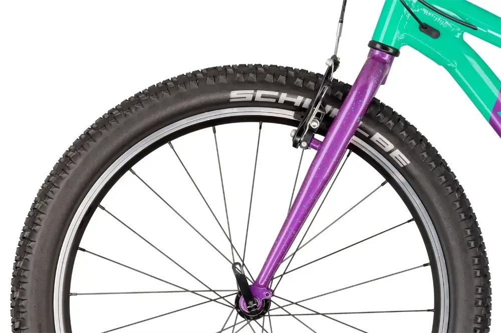 Rower dziecięcy R-raymon Yanga 24