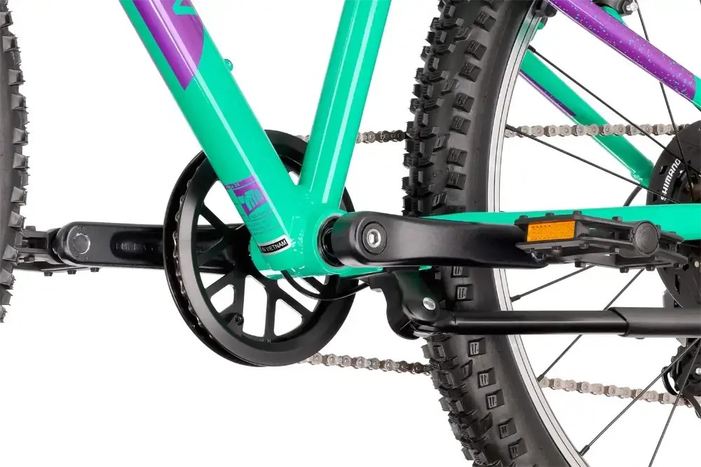 Rower dziecięcy R-raymon Yanga 24