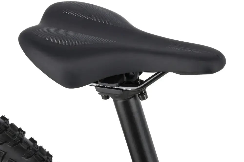 Rower dziecięcy R-raymon Yanga 24