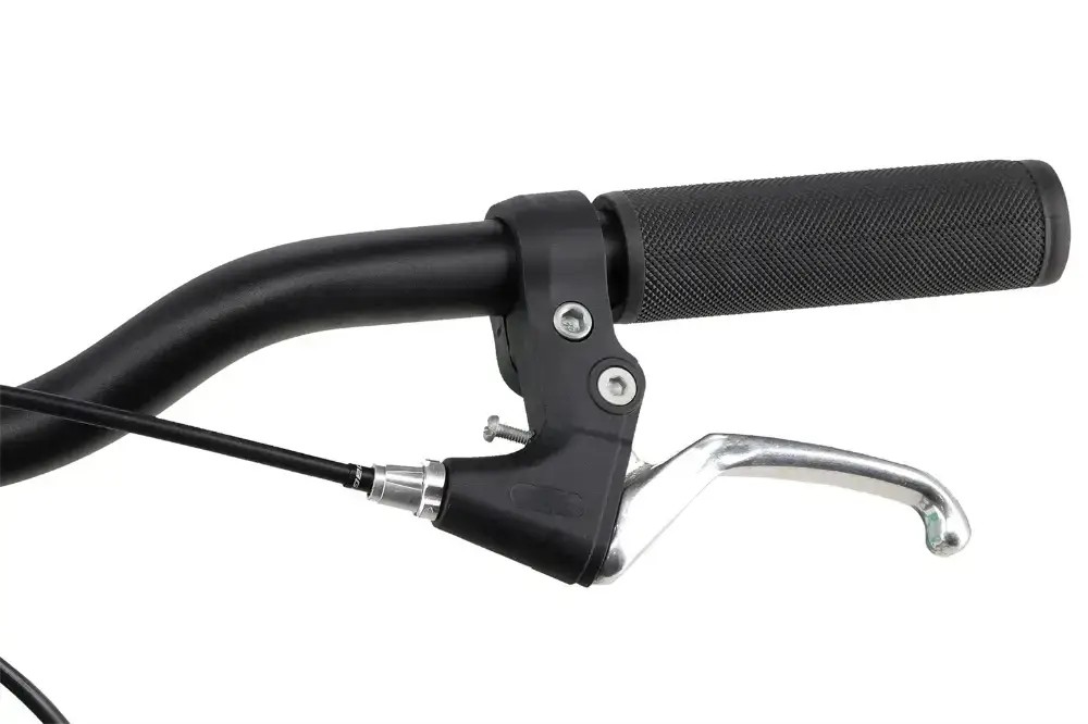 Rower dziecięcy R-raymon Yanga 24