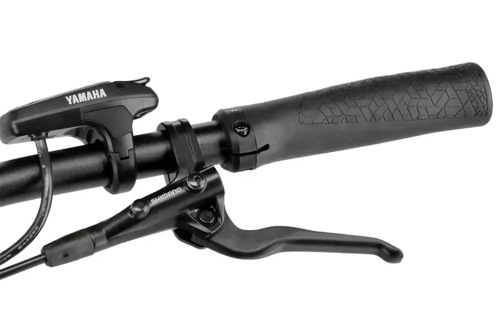 Rower elektryczny Winora Yucatan X10 Low