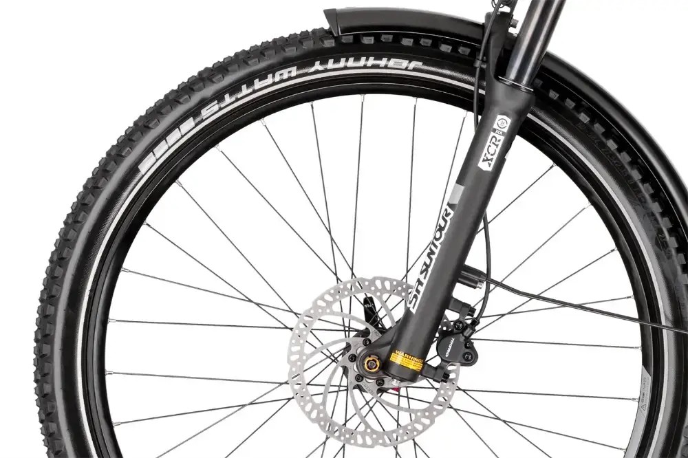 Rower elektryczny R-raymon CrossRay FS E 5.0 9S M350