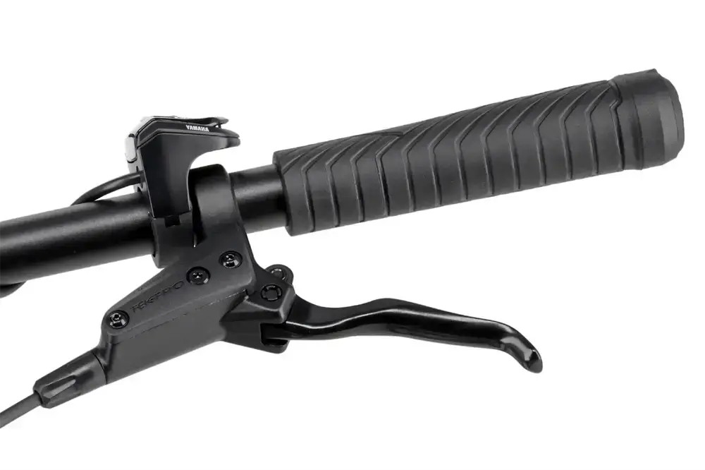 Rower elektryczny R-raymon CrossRay FS E 5.0 9S M350