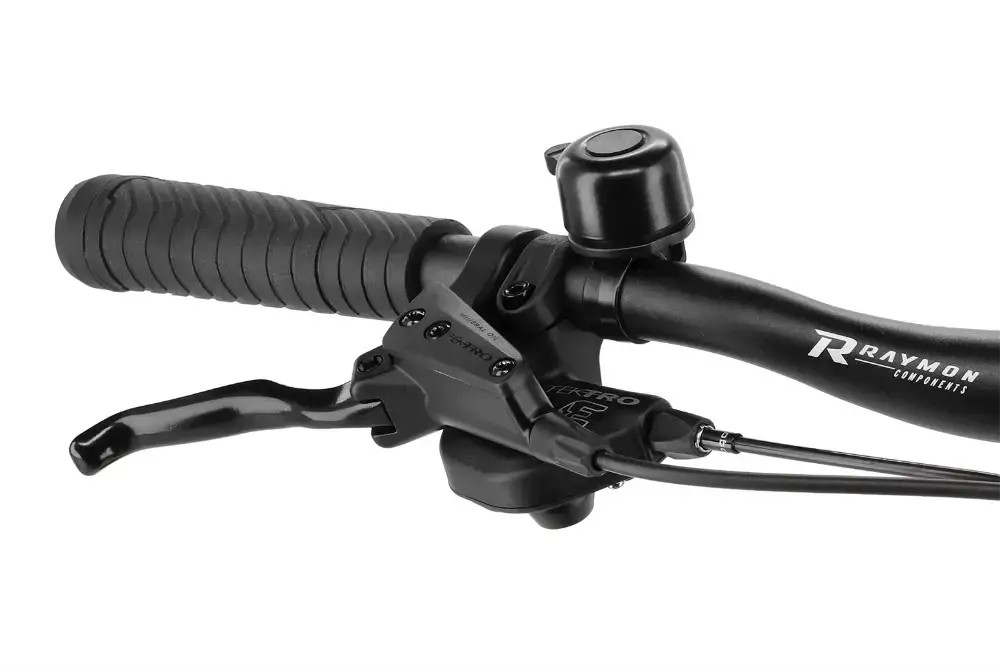 Rower elektryczny damski R-raymon TourRay E 6.0 Lady 9S M350