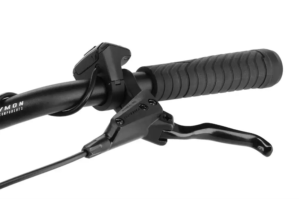 Rower elektryczny damski R-raymon TourRay E 6.0 Lady 9S M350