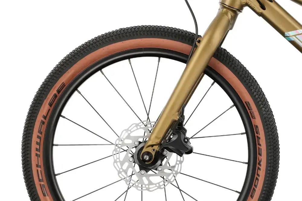 Rower dziecięcy Superior F.l.y. 20 Disc