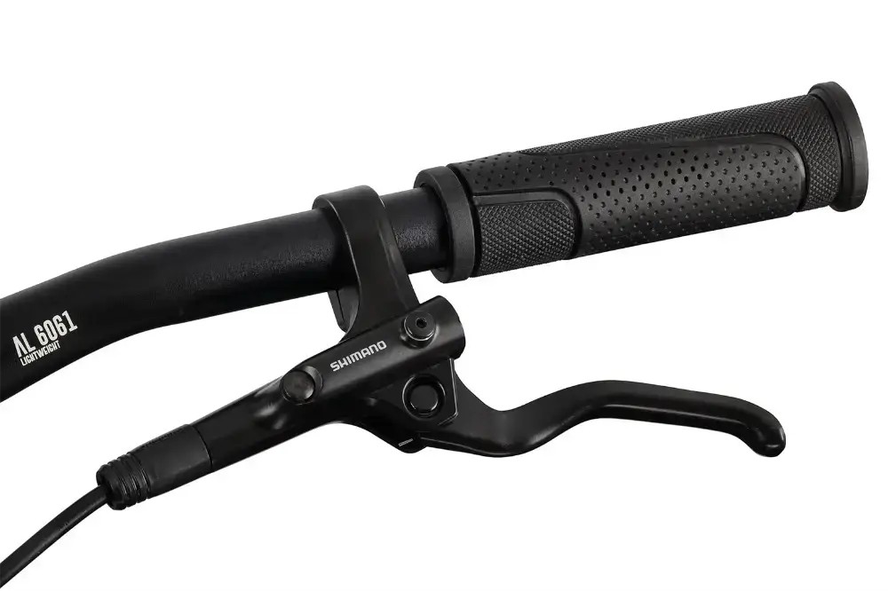 Rower miejski R-raymon UrbanRay 2.0 Gent