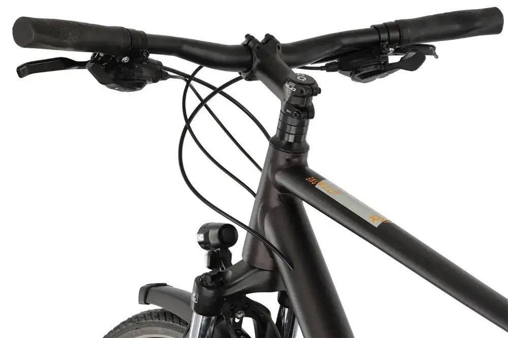 Rower trekkingowy Winora Domingo X20