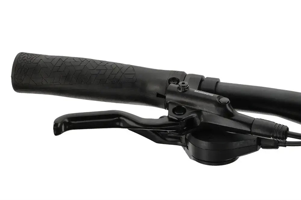 Rower trekkingowy Winora Domingo X20