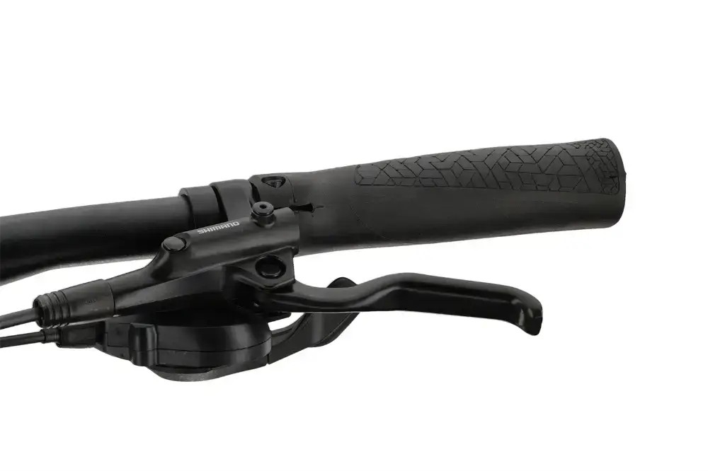 Rower trekkingowy Winora Domingo X20