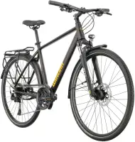 Rower trekkingowy Winora Domingo X20