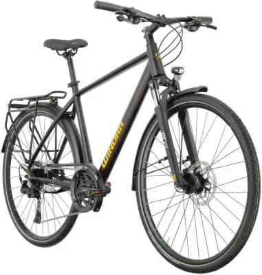 Rower trekkingowy Winora Domingo X20