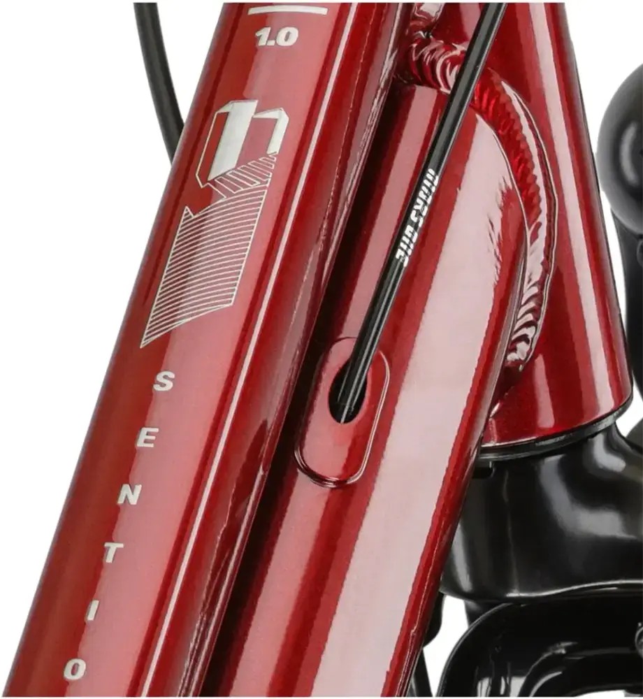 Rower trekkingowy Kross Sentio 1.0