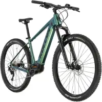 Kellys Tygon R50 P electric bike