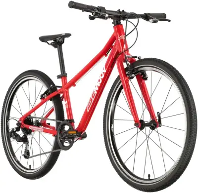 Rower dziecięcy Bemoov M24