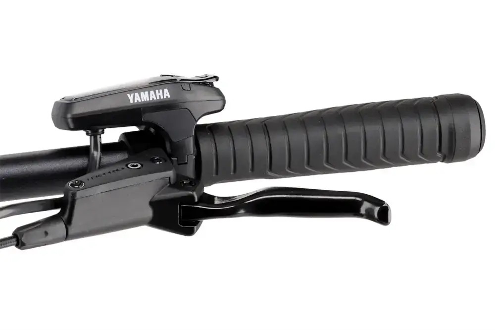 Rower elektryczny R-raymon CrossRay E 5.0 9S M350