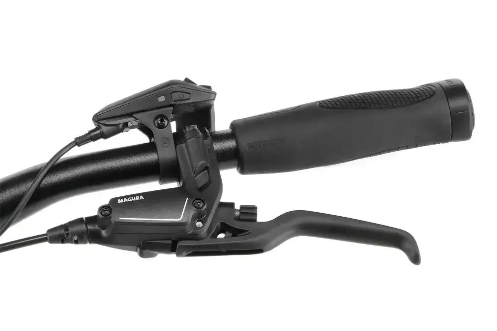 Rower elektryczny Simplon Chenoa 365 :E