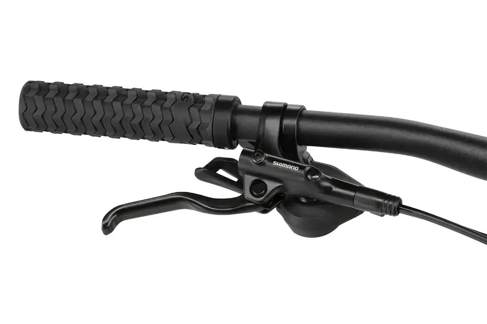 Rower elektryczny damski Kellys Tayen R50 P 29"