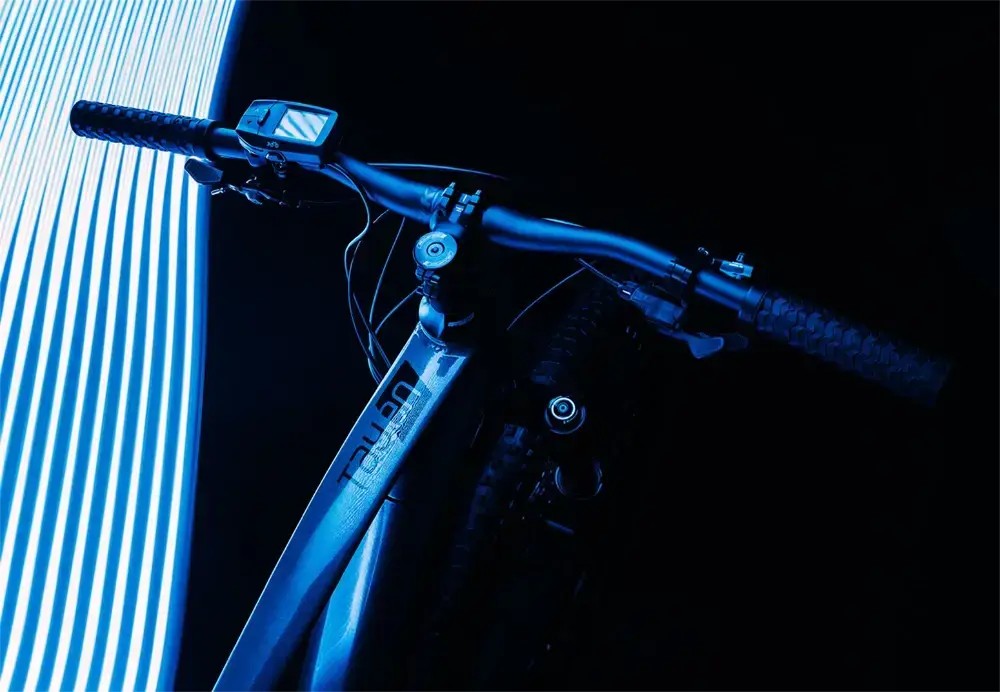 Rower elektryczny damski Kellys Tayen R50 P 29"