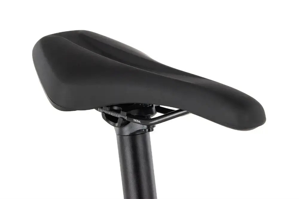 Rower elektryczny Haibike AllTrack 6 29 Cues