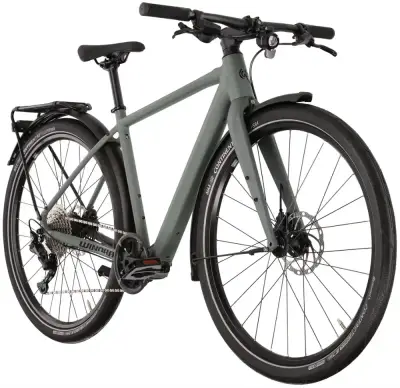 Rower elektryczny Winora E-Flitzer