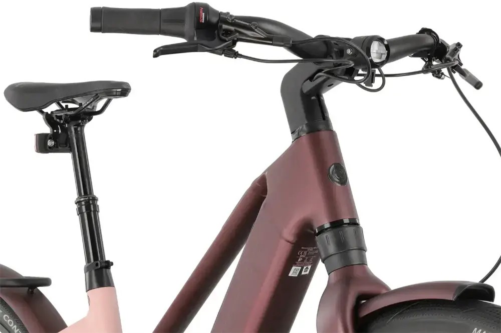 Rower elektryczny Winora iRide Pure R5f