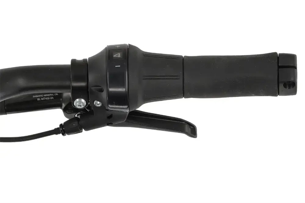 Rower elektryczny Winora iRide Pure R5f